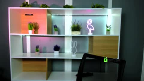 veldi_to online show from 02-02-26, 07:34