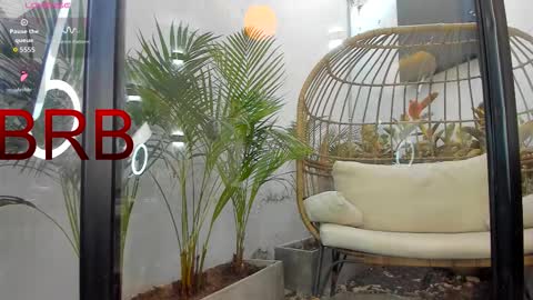 VENUS online show from 02-01-26, 01:20