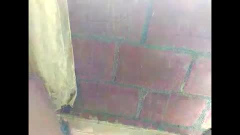 Snapshot of ver_gonblack chatting on 12-22-24, 04:59 ver_gonblack online show from 12-22-24, 04:59