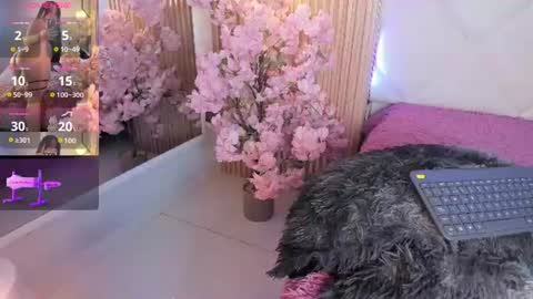 Snapshot of veronica_hill_ chatting on 06-18-26, 03:18 veronica_hill_ online show from 06-18-26, 03:18