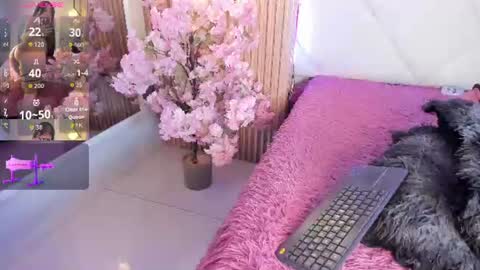 Snapshot of veronica_hill_ chatting on 06-24-26, 03:05 veronica_hill_ online show from 06-24-26, 03:05