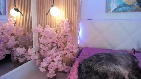 Snapshot of veronica_hill_ chatting on 07-10-26, 03:11 veronica_hill_ online show from 07-10-26, 03:11