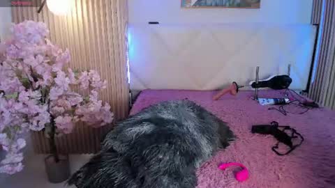 Snapshot of veronica_hill_ chatting on 07-29-26, 03:15 veronica_hill_ online show from 07-29-26, 03:15