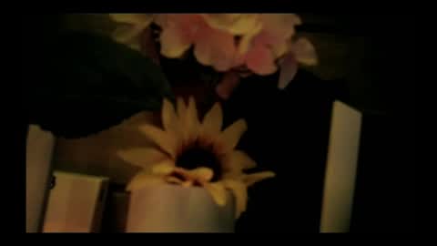 Snapshot of vickyvalencia2 chatting on 05-05-26, 02:30 vickyvalencia2 online show from 05-05-26, 02:30