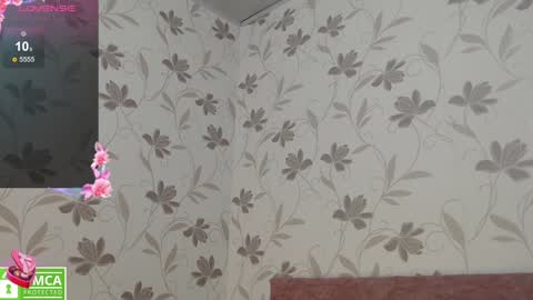 Snapshot of victoria017 chatting on 01-18-25, 09:02 Victoria online show from 01-18-25, 09:02