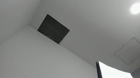 Victoria Vixen online show from 04-03-26, 08:18