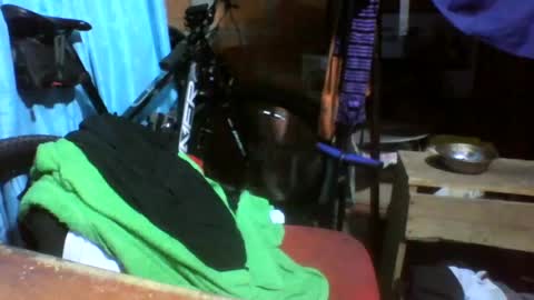 viernes1010 online show from 06-21-26, 03:03