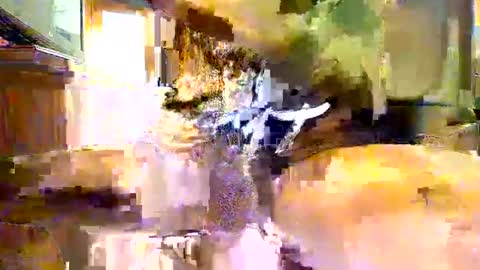 viizin online show from 02-23-25, 06:28