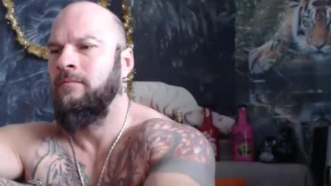 viking online show from 02-11-26, 07:35