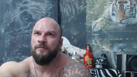 viking online show from 04-17-26, 06:11