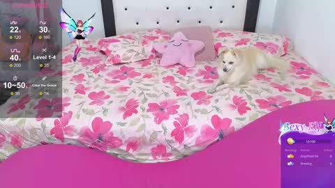Violeta online show from 02-03-26, 06:40