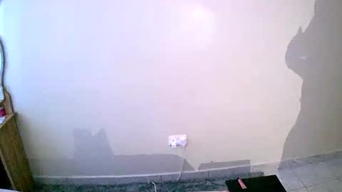 Your Virtual Wife online show from 01-19-25, 01:22