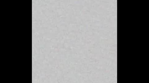 Vivian online show from 10-03-25, 11:18