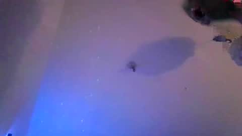 vivianvagina2026 online show from 04-08-26, 12:10