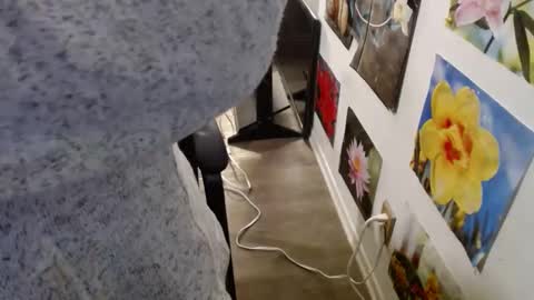 Vixen Fyre online show from 12-12-24, 05:59