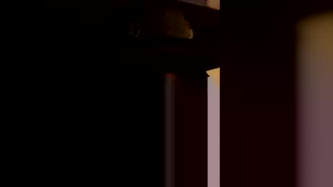 Snapshot of vlamen007 chatting on 02-09-26, 01:42 vlamen007 online show from 02-09-26, 01:42