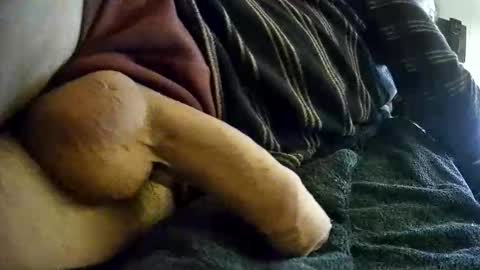 vleeslollie2024 online show from 01-10-25, 07:14