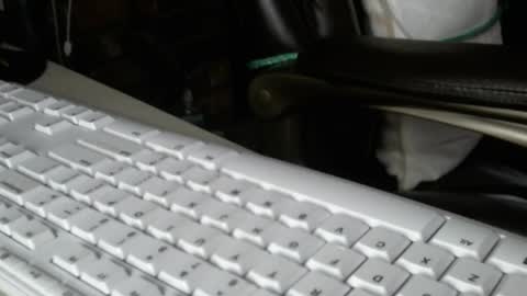 vnpg92 online show from 12-13-25, 08:14