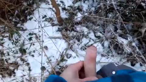 mcfly online show from 02-19-25, 04:22