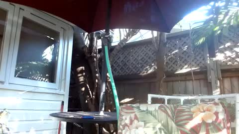 Snapshot of vtcd chatting on 02-06-25, 09:28 vtcd online show from 02-06-25, 09:28