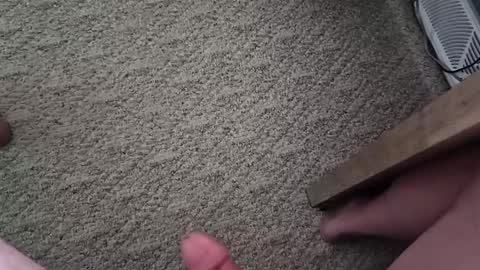 Snapshot of vtxrider77 chatting on 10-01-25, 03:40 vtxrider77 online show from 10-01-25, 03:40