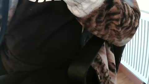 Daniel online show from 02-04-25, 02:10