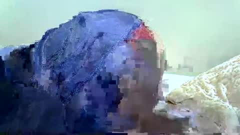 candy online show from 05-31-26, 07:04