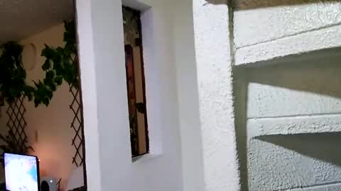 Snapshot of waningrosee chatting on 01-04-25, 02:25 Waningrose Lu online show from 01-04-25, 02:25