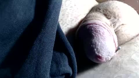 wants online show from 11-06-25, 02:40