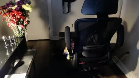 wasted_daze_ online show from 10-25-25, 10:34