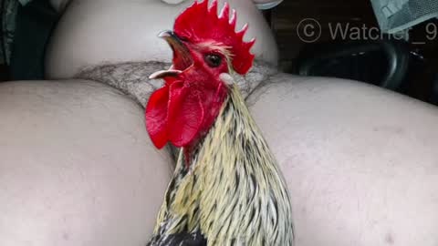 classified online show from 12-25-24, 08:50