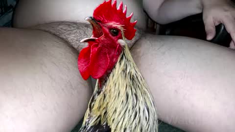 classified online show from 10-04-25, 07:34