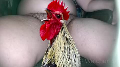 classified online show from 11-09-25, 08:29