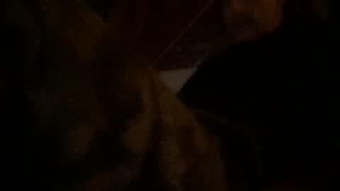watchinggold online show from 07-22-26, 02:09