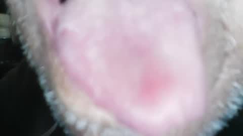 wayne1311 online show from 01-23-25, 04:26