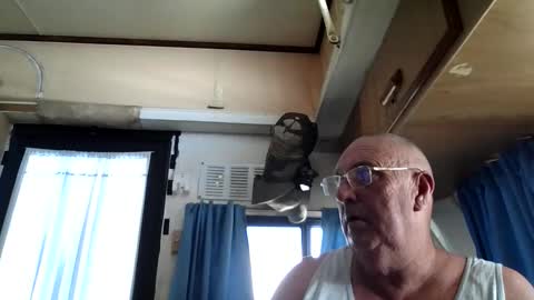 wazahardon2 online show from 09-20-25, 03:51