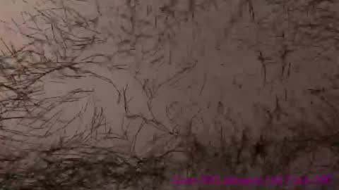 Snapshot of wcsweet chatting on 04-24-26, 07:00 Lili online show from 04-24-26, 07:00