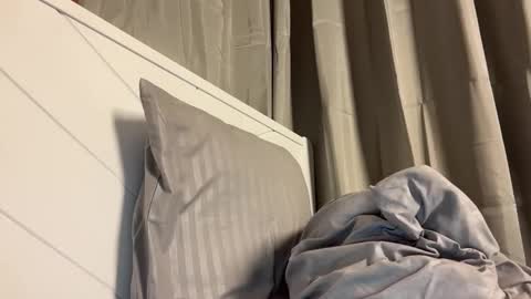 Maggie online show from 05-10-26, 12:16