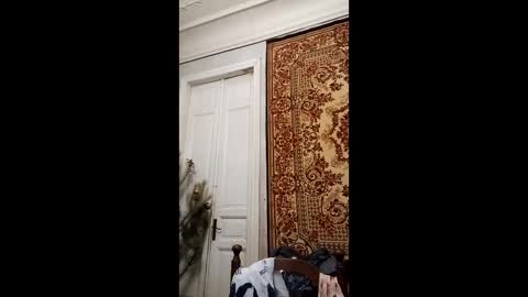 Snapshot of webgirl2 chatting on 02-26-25, 04:14 Marina online show from 02-26-25, 04:14