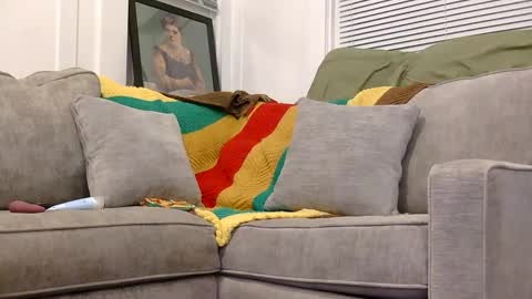 weeeee_snawww online show from 04-17-26, 10:18