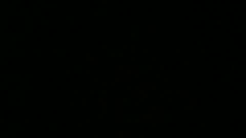 weeskank online show from 10-05-25, 06:17