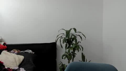 Snapshot of west_ta chatting on 09-17-25, 04:08 tatty online show from 09-17-25, 04:08