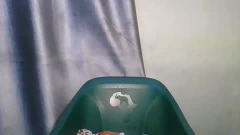 wetfatpussy_ online show from 02-12-26, 06:58