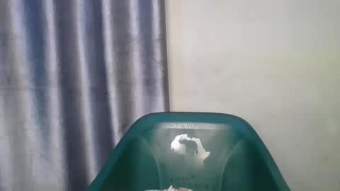 wetfatpussy_ online show from 02-13-26, 07:10