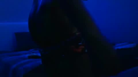 Snapshot of wetwildbigdick305 chatting on 02-03-25, 10:36 wetwildbigdick305 online show from 02-03-25, 10:36