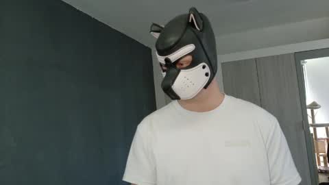 white_pup online show from 04-21-26, 11:16