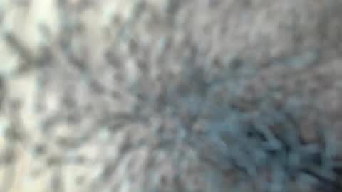 white_sexy_ online show from 01-18-26, 11:30