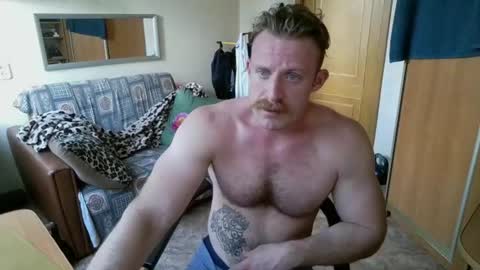 WhiteBull online show from 08-02-26, 11:41