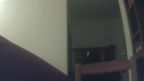 Whiteduke online show from 12-06-24, 06:17