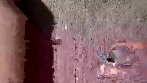 whitelava_4u online show from 09-26-25, 10:30